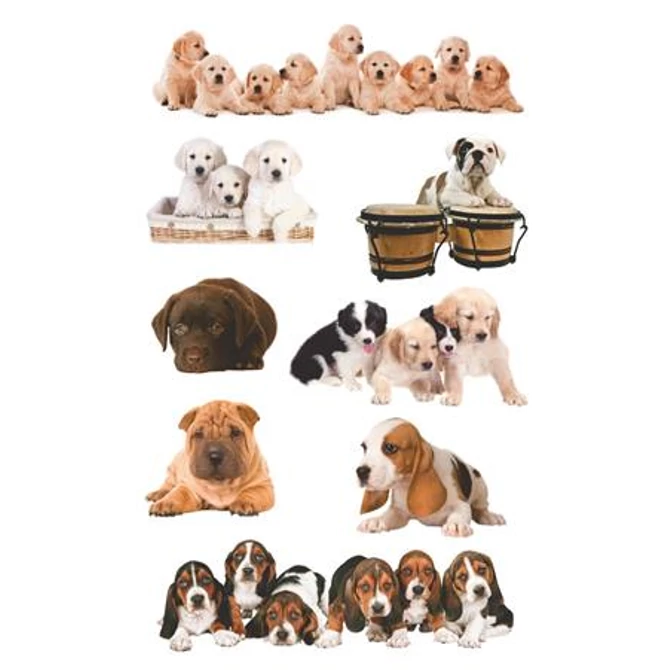 Matrica, papír,  3 ív, 76x120 mm, AVERY ZWECKFORM, 