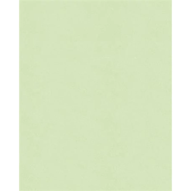 Moosgumi, 20x29 cm, 10 lap, FOLIA 