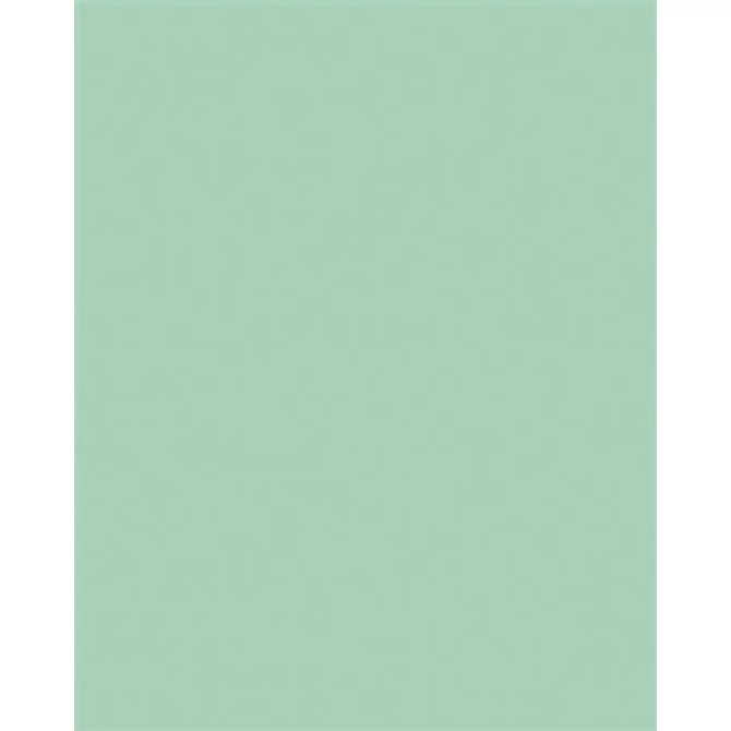 Dekorkarton, 2 oldalas, 50x70cm, 220 g, 10 lap, FOLIA, menta