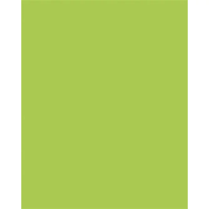 Dekorkarton, 2 oldalas, 50x70cm, 220 g, 10 lap, FOLIA, tavaszzöld
