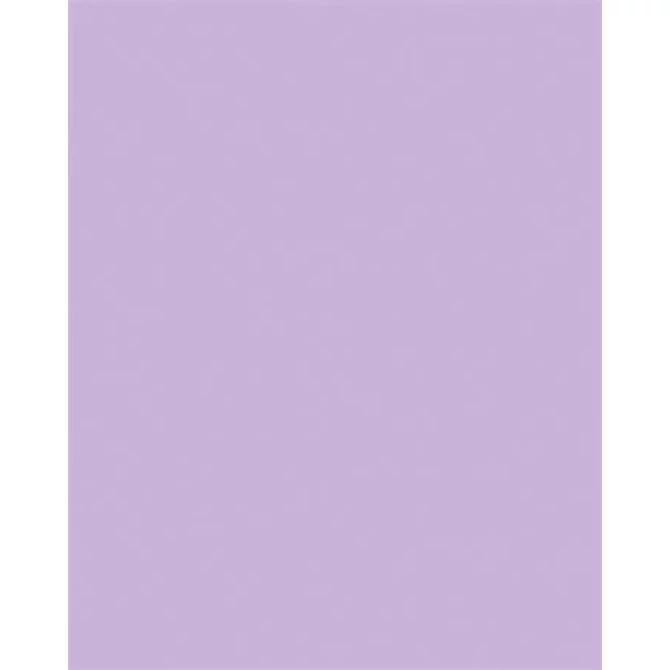 Dekorkarton, 2 oldalas, A4, 300 g, 50 lap, FOLIA, halvány orgonalila