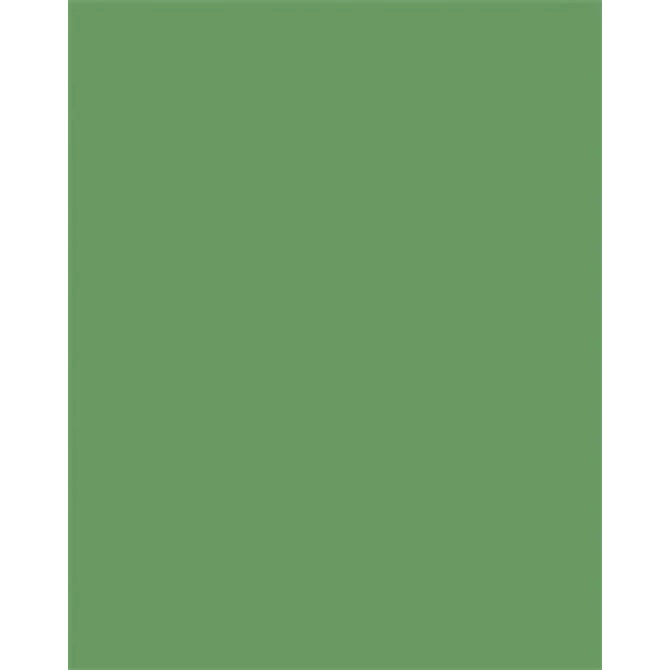 Dekorkarton, 2 oldalas, A4, 300 g, 50 lap, FOLIA, mohazöld