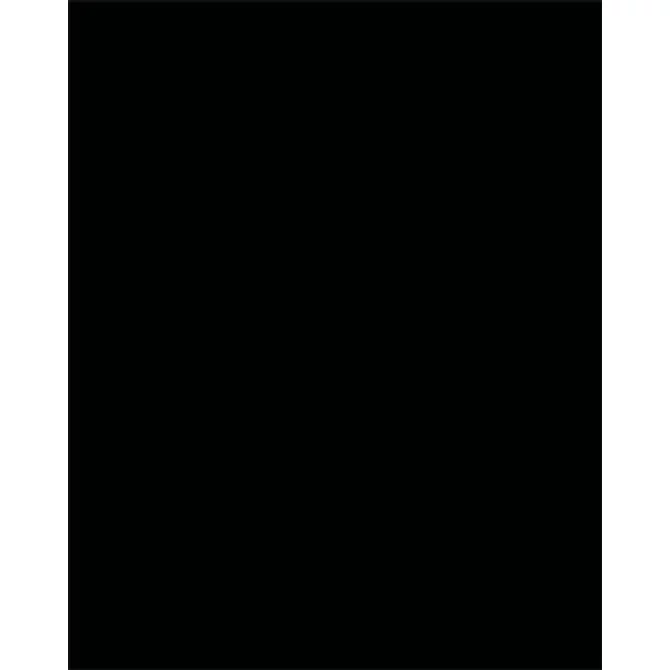 Dekorkarton, 2 oldalas, 50x70 cm, 300 g, 10 lap, FOLIA, fekete