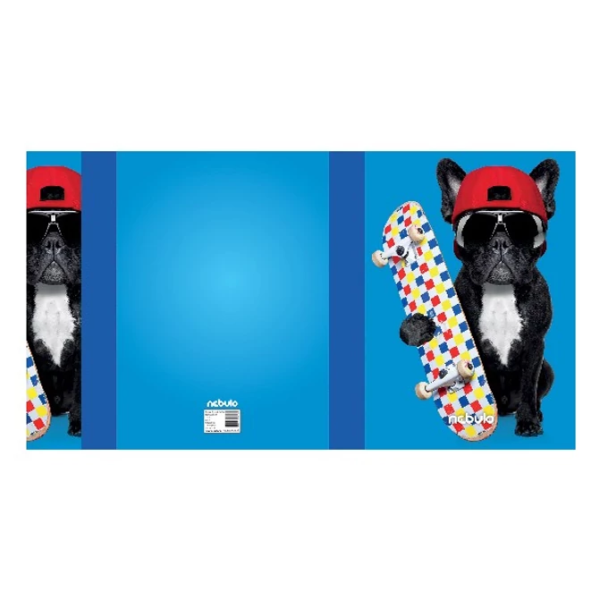 Füzetbox, A4, Menő kutya, Nebulo