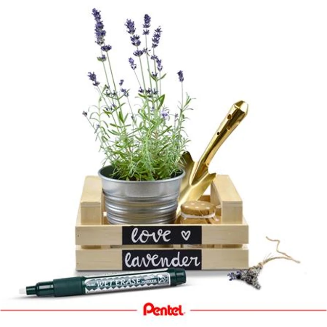 Krétamarker, 2-4 mm, megfordítható hegy, PENTEL 