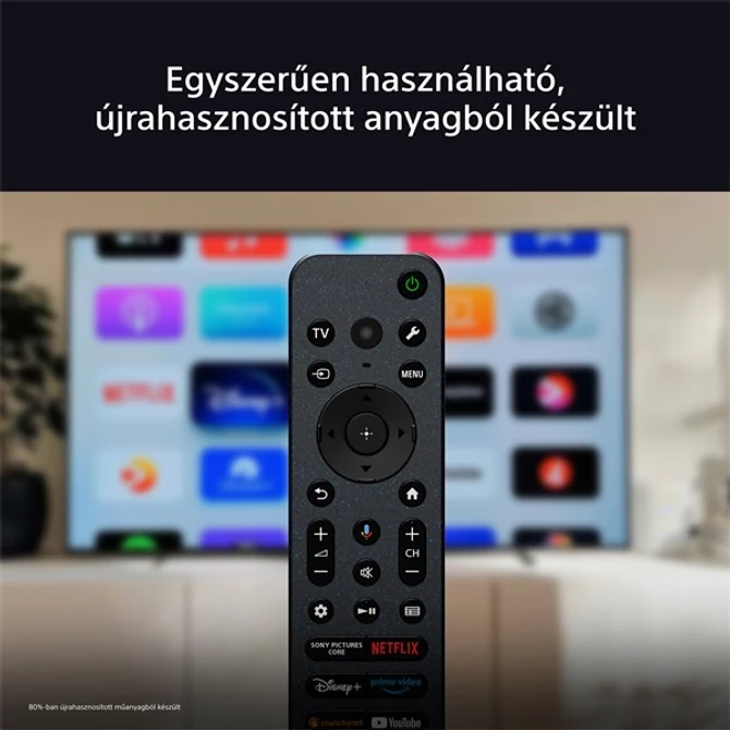 Sony 65