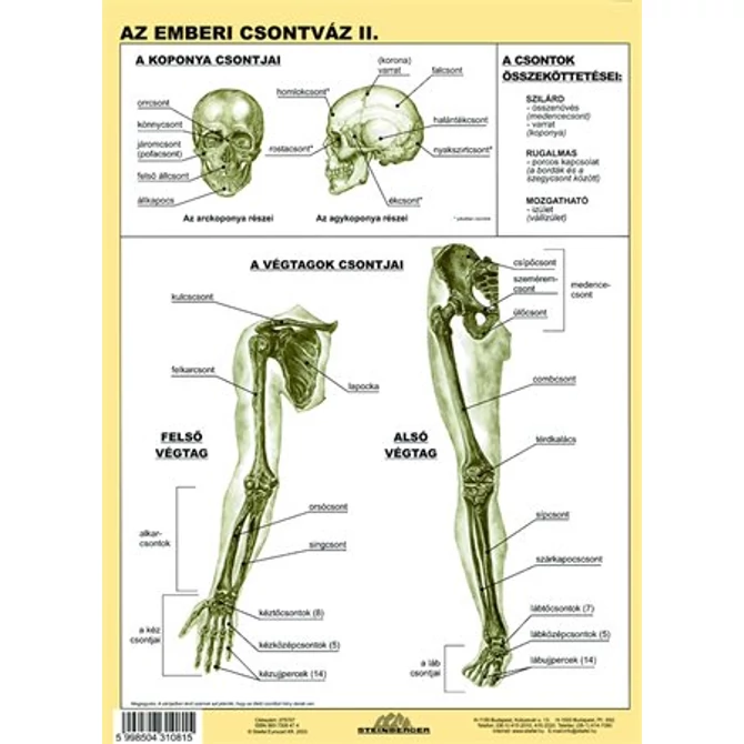 Tanulói munkalap, A4, STIEFEL 